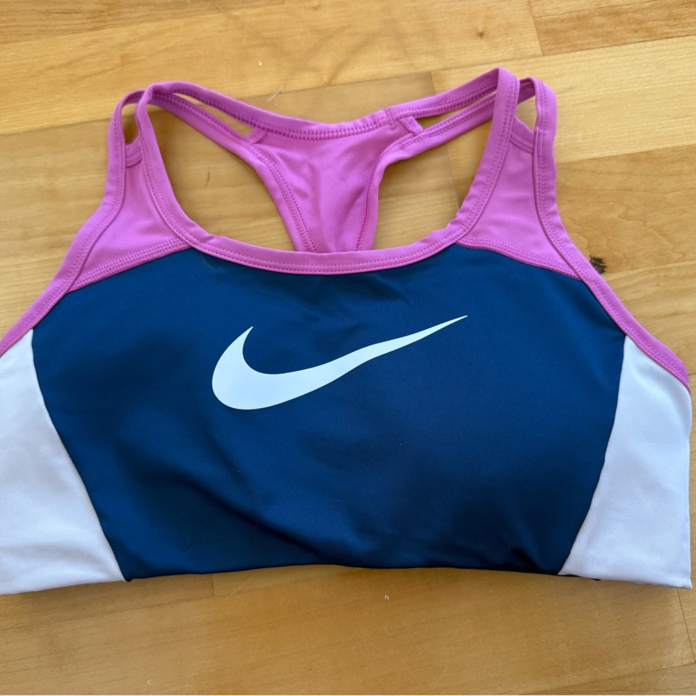 Nike Women's Blue and Pink Sports Bra